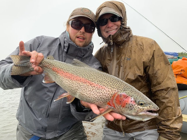 Kanektok River Rainbow Trout